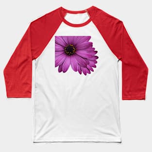 flower-marigolds-purple Baseball T-Shirt